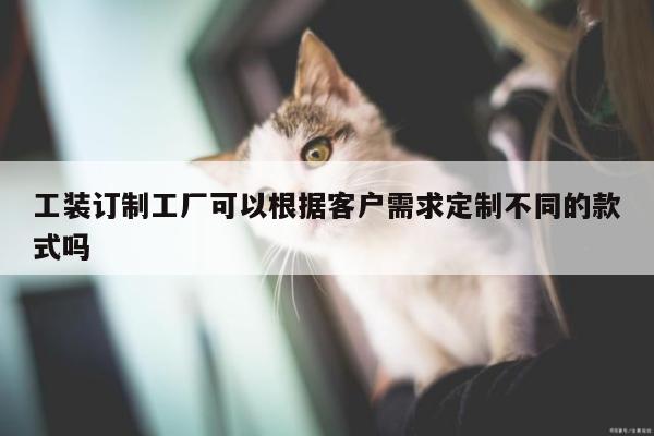 Bsports必一体育|工装订制工厂可以根据客户需求定制不同的款式吗