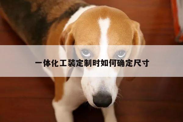 一体化工装定制时如何确定尺寸：Bsports必一体育